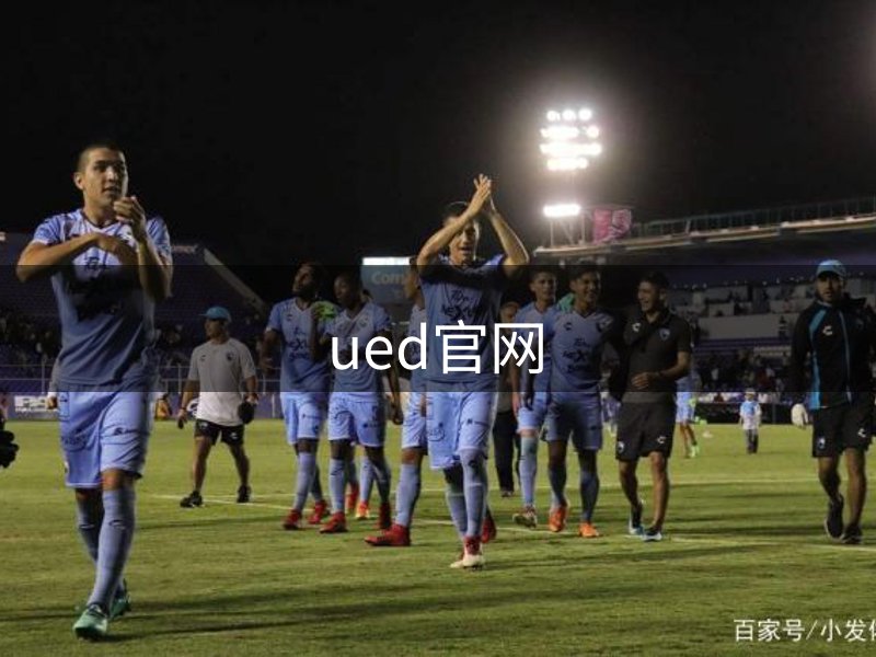 ued官网概况